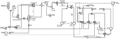 Comparative Techno-Economic and Exergetic Analysis of Circulating and Dual Bed Biomass Gasification Systems